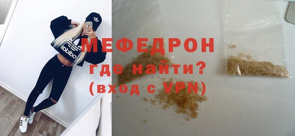 индика Аркадак