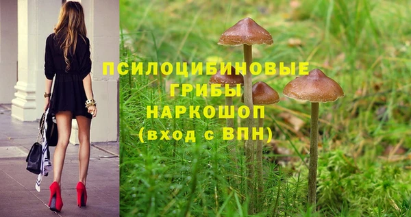 бутират Алексеевка
