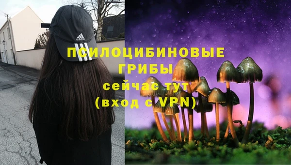 бутират Алексеевка
