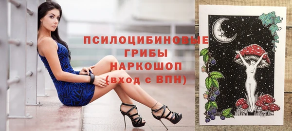 прущая мука Арсеньев