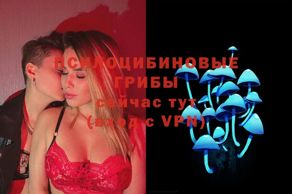 бутират Алексеевка